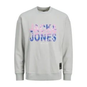 future crew neck sweatshirt